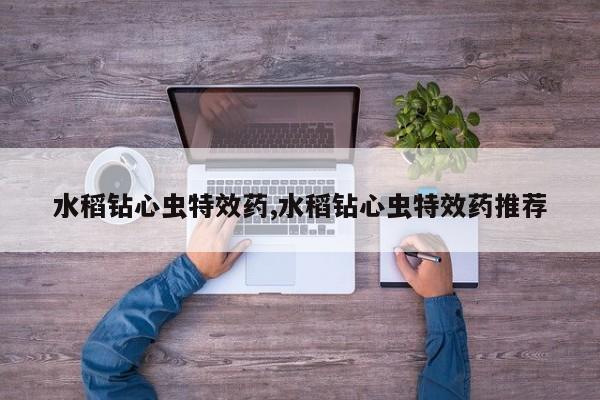 水稻钻心虫特效药,水稻钻心虫特效药推荐
