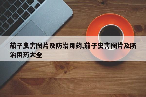 茄子虫害图片及防治用药,茄子虫害图片及防治用药大全